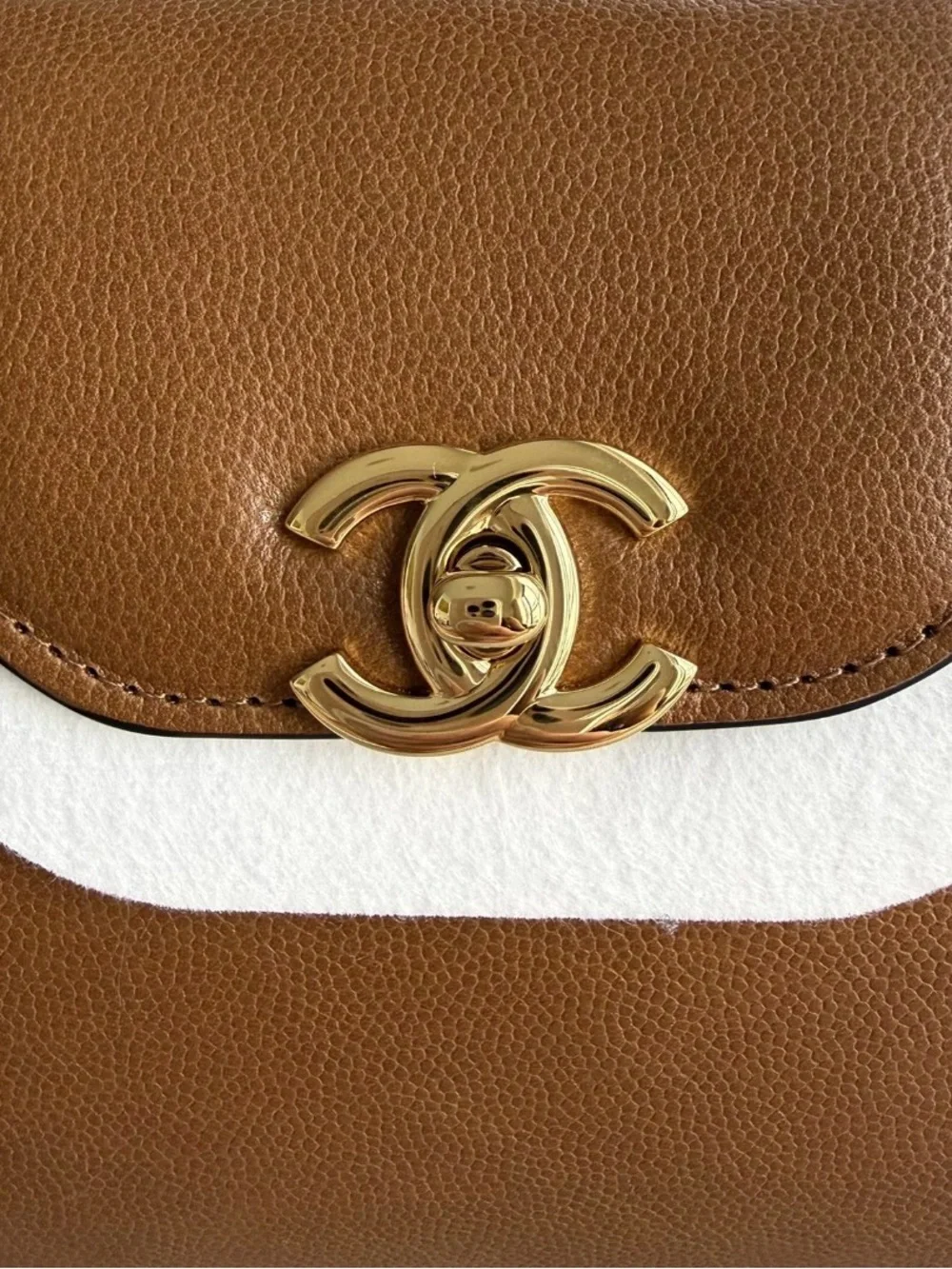 CHANEL Matthieu Blazy Limited Edition Nano Kelly Shopper in Camel Caviar